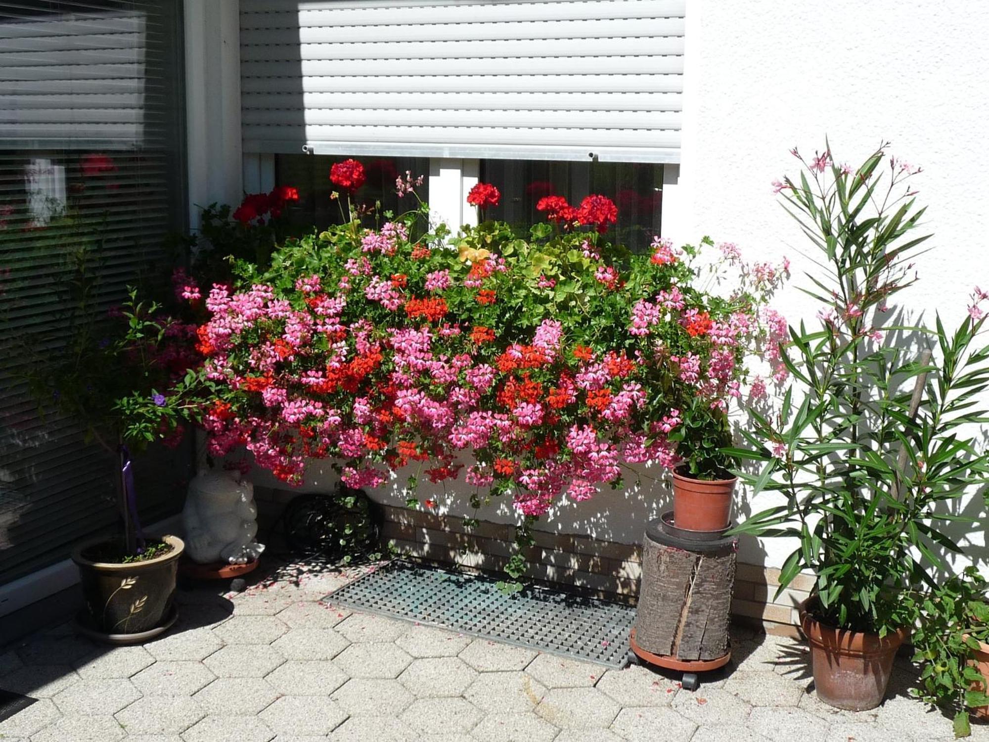 Graceful Apartment In Velmede With Garden Bestwig Dış mekan fotoğraf