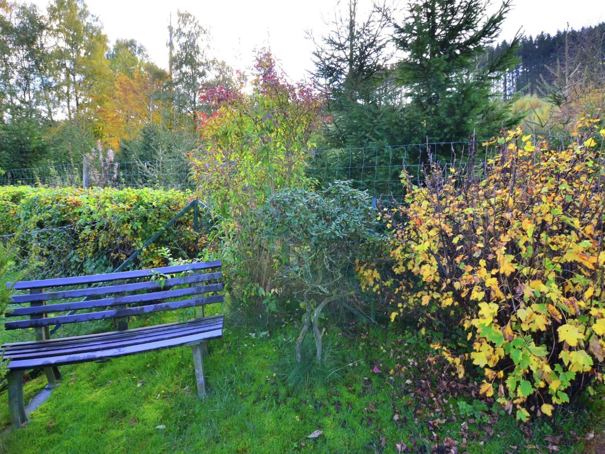 Graceful Apartment In Velmede With Garden Bestwig Dış mekan fotoğraf